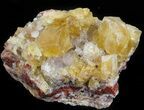 Lustrous, Yellow Cubic Fluorite Crystals - Morocco #44899-1
